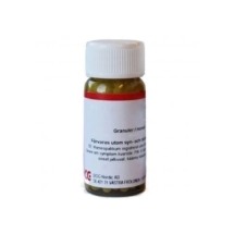 DCG Ruta graveolens D30