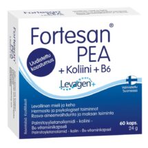 Fortesan PEA + Koliini + B6 60 kaps - Hankintatukku